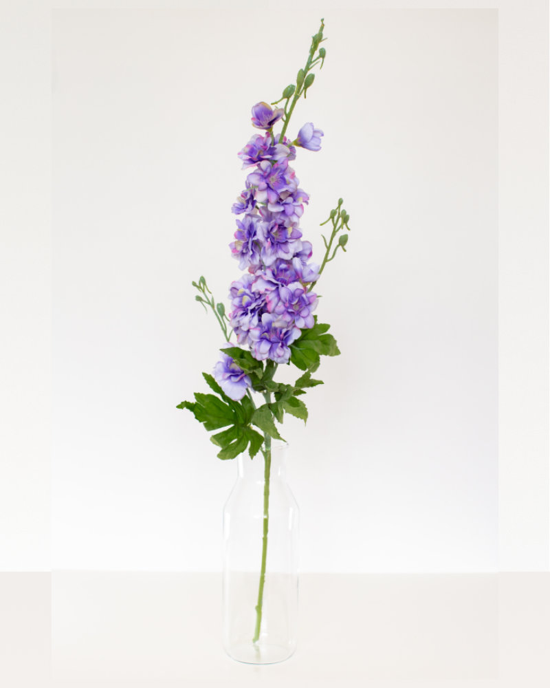 Single purple delphinium