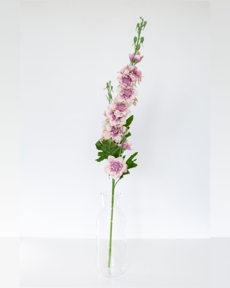 Single pink delphinium