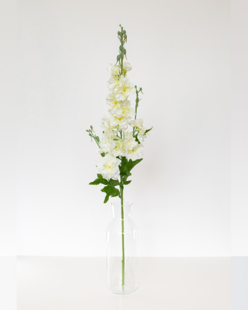 Single white delphinium