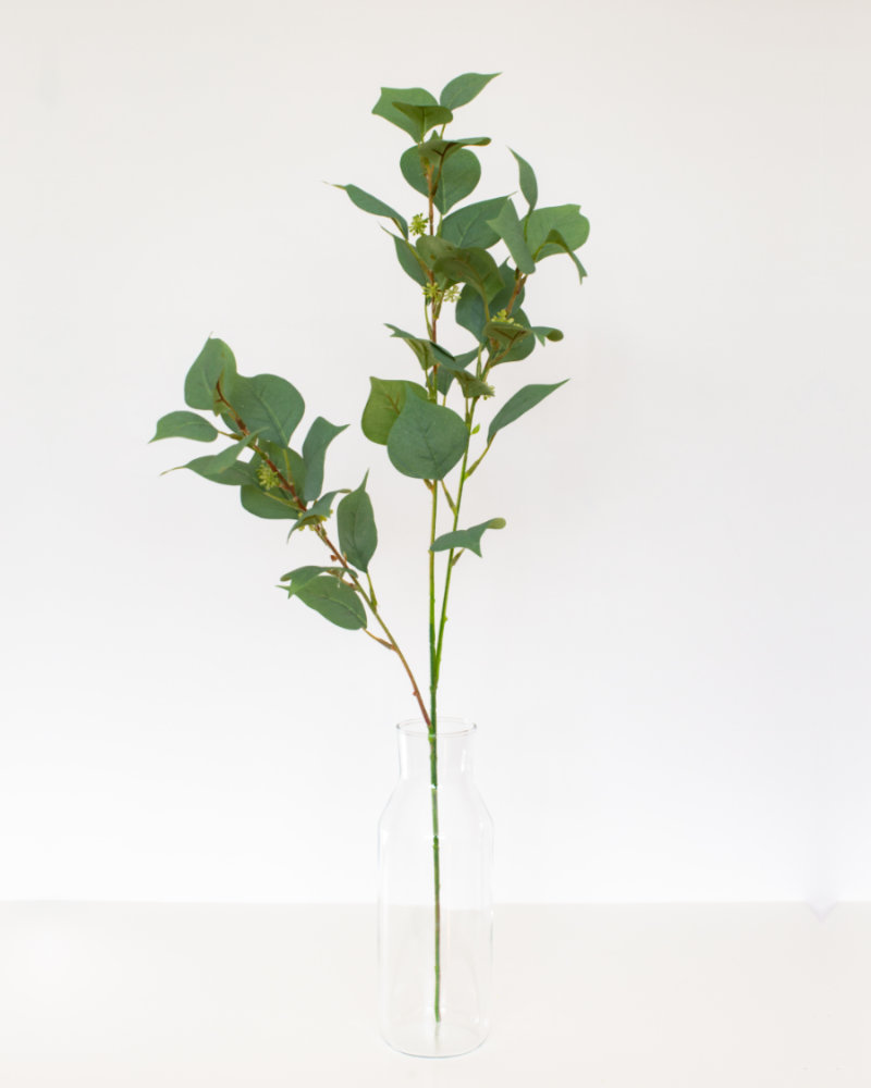 Single Seeded Eucalyptus