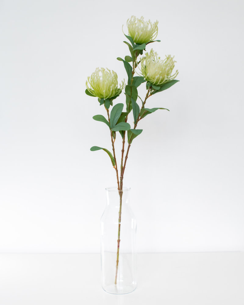 Single White Protea