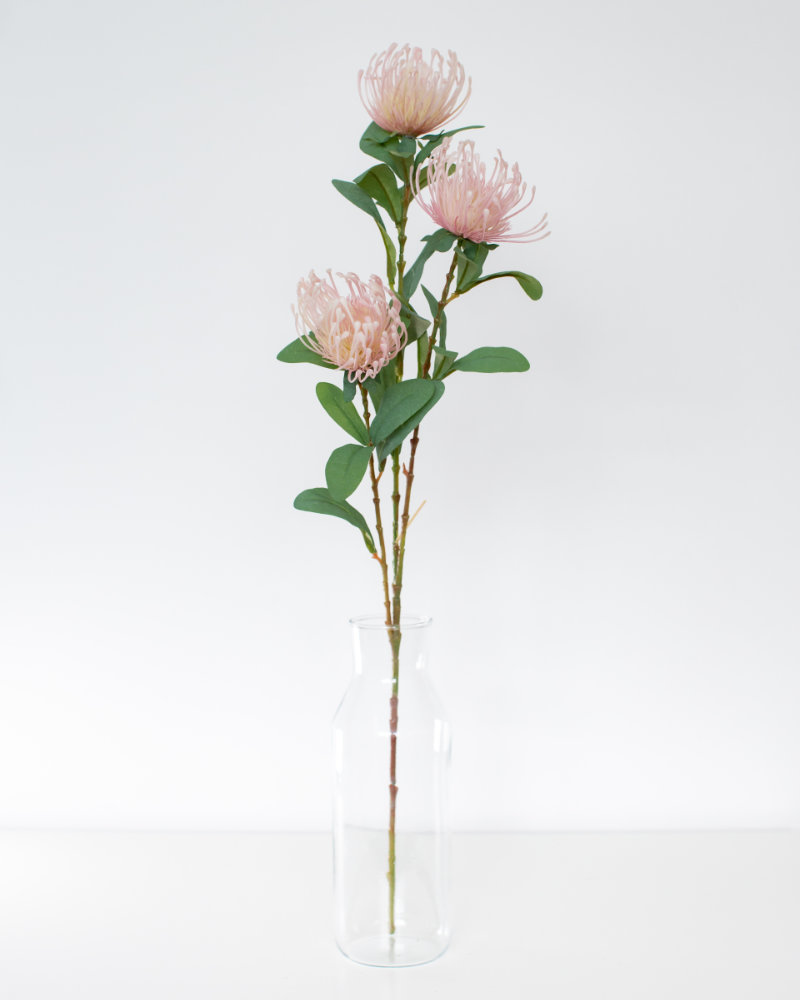Single Peach Protea