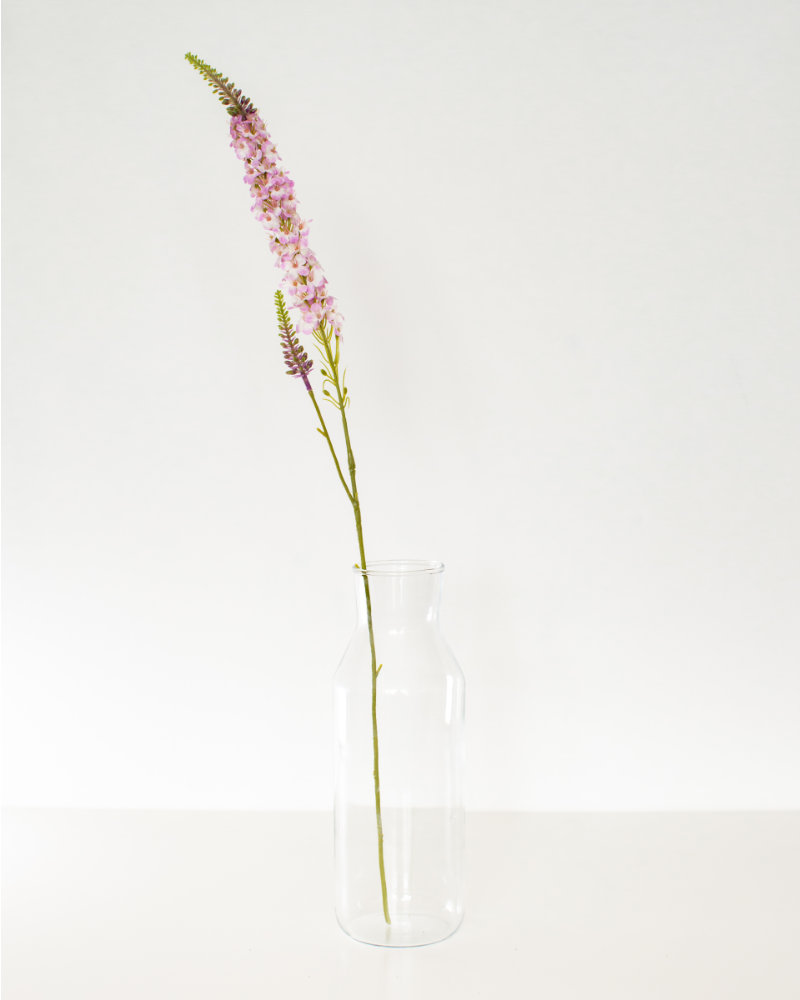 Single pink Veronica